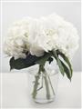 Picture of Hydrangea Bouquet _GroupedProduct_Rectangle_Portrait_Photography _GroupedProduct_Rectangle_Portrait_Unframed_Print_Only_