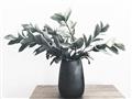Picture of Black vase with green leafs _GroupedProduct_Rectangle_Landscape_Photography _GroupedProduct_Rectangle_Landscape_Unframed_Print_Only_