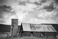 Picture of On the Farm  _GroupedProduct_Rectangle_Landscape_Photography _GroupedProduct_Rectangle_Landscape_Unframed_Print_Only_