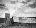 Picture of On the Farm  _GroupedProduct_Rectangle_Landscape_Photography _GroupedProduct_Rectangle_Landscape_Unframed_Print_Only_