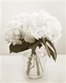 Picture of Hydrangea Bouquet _GroupedProduct_Rectangle_Portrait_Photography _GroupedProduct_Rectangle_Portrait_Unframed_Print_Only_