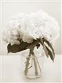Picture of Hydrangea Bouquet _GroupedProduct_Rectangle_Portrait_Photography _GroupedProduct_Rectangle_Portrait_Unframed_Print_Only_
