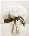 Picture of Hydrangea Bouquet _GroupedProduct_Rectangle_Portrait_Photography _GroupedProduct_Rectangle_Portrait_Unframed_Print_Only_