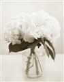 Picture of Hydrangea Bouquet _GroupedProduct_Rectangle_Portrait_Photography _GroupedProduct_Rectangle_Portrait_Unframed_Print_Only_