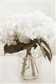Picture of Hydrangea Bouquet _GroupedProduct_Rectangle_Portrait_Photography _GroupedProduct_Rectangle_Portrait_Unframed_Print_Only_