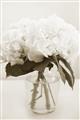 Picture of Hydrangea Bouquet _GroupedProduct_Rectangle_Portrait_Photography _GroupedProduct_Rectangle_Portrait_Unframed_Print_Only_