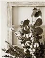 Picture of Farmhouse Arrangement I  _GroupedProduct_Rectangle_Portrait_Photography _GroupedProduct_Rectangle_Portrait_Unframed_Print_Only_