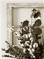 Picture of Farmhouse Arrangement I  _GroupedProduct_Rectangle_Portrait_Photography _GroupedProduct_Rectangle_Portrait_Unframed_Print_Only_
