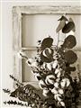 Picture of Farmhouse Arrangement I  _GroupedProduct_Rectangle_Portrait_Photography _GroupedProduct_Rectangle_Portrait_Unframed_Print_Only_