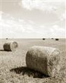 Picture of Hay Bail _GroupedProduct_Rectangle_Portrait_Photography _GroupedProduct_Rectangle_Portrait_Unframed_Print_Only_