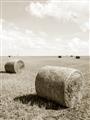 Picture of Hay Bail _GroupedProduct_Rectangle_Portrait_Photography _GroupedProduct_Rectangle_Portrait_Unframed_Print_Only_