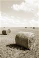 Picture of Hay Bail _GroupedProduct_Rectangle_Portrait_Photography _GroupedProduct_Rectangle_Portrait_Unframed_Print_Only_