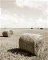 Picture of Hay Bail _GroupedProduct_Rectangle_Portrait_Photography _GroupedProduct_Rectangle_Portrait_Unframed_Print_Only_