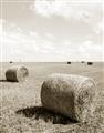 Picture of Hay Bail _GroupedProduct_Rectangle_Portrait_Photography _GroupedProduct_Rectangle_Portrait_Unframed_Print_Only_