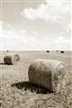 Picture of Hay Bail _GroupedProduct_Rectangle_Portrait_Photography _GroupedProduct_Rectangle_Portrait_Unframed_Print_Only_
