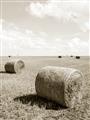 Picture of Hay Bail _GroupedProduct_Rectangle_Portrait_Photography _GroupedProduct_Rectangle_Portrait_Unframed_Print_Only_