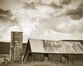 Picture of On the Farm  _GroupedProduct_Rectangle_Landscape_Photography _GroupedProduct_Rectangle_Landscape_Unframed_Print_Only_