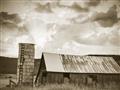 Picture of On the Farm  _GroupedProduct_Rectangle_Landscape_Photography _GroupedProduct_Rectangle_Landscape_Unframed_Print_Only_