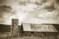 Picture of On the Farm  _GroupedProduct_Rectangle_Landscape_Photography _GroupedProduct_Rectangle_Landscape_Unframed_Print_Only_