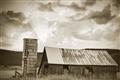 Picture of On the Farm  _GroupedProduct_Rectangle_Landscape_Photography _GroupedProduct_Rectangle_Landscape_Unframed_Print_Only_