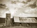 Picture of On the Farm  _GroupedProduct_Rectangle_Landscape_Photography _GroupedProduct_Rectangle_Landscape_Unframed_Print_Only_