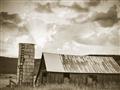Picture of On the Farm  _GroupedProduct_Rectangle_Landscape_Photography _GroupedProduct_Rectangle_Landscape_Unframed_Print_Only_