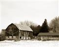 Picture of Farm Life  _GroupedProduct_Rectangle_Landscape_Photography _GroupedProduct_Rectangle_Landscape_Unframed_Print_Only_