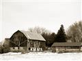 Picture of Farm Life  _GroupedProduct_Rectangle_Landscape_Photography _GroupedProduct_Rectangle_Landscape_Unframed_Print_Only_
