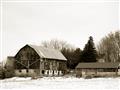 Picture of Farm Life  _GroupedProduct_Rectangle_Landscape_Photography _GroupedProduct_Rectangle_Landscape_Unframed_Print_Only_