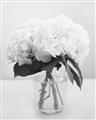 Picture of Hydrangea Bouquet _GroupedProduct_Rectangle_Portrait_Photography _GroupedProduct_Rectangle_Portrait_Unframed_Print_Only_