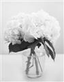 Picture of Hydrangea Bouquet _GroupedProduct_Rectangle_Portrait_Photography _GroupedProduct_Rectangle_Portrait_Unframed_Print_Only_