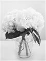 Picture of Hydrangea Bouquet _GroupedProduct_Rectangle_Portrait_Photography _GroupedProduct_Rectangle_Portrait_Unframed_Print_Only_
