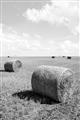 Picture of Hay Bail _GroupedProduct_Rectangle_Portrait_Photography _GroupedProduct_Rectangle_Portrait_Unframed_Print_Only_