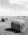 Picture of Hay Bail _GroupedProduct_Rectangle_Portrait_Photography _GroupedProduct_Rectangle_Portrait_Unframed_Print_Only_