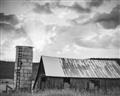 Picture of On the Farm  _GroupedProduct_Rectangle_Landscape_Photography _GroupedProduct_Rectangle_Landscape_Unframed_Print_Only_