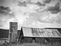 Picture of On the Farm  _GroupedProduct_Rectangle_Landscape_Photography _GroupedProduct_Rectangle_Landscape_Unframed_Print_Only_