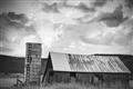 Picture of On the Farm  _GroupedProduct_Rectangle_Landscape_Photography _GroupedProduct_Rectangle_Landscape_Unframed_Print_Only_