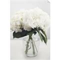 Picture of Hydrangea Bouquet _GroupedProduct_Rectangle_Portrait_Photography _GroupedProduct_Rectangle_Portrait_Unframed_Print_Only_