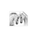 Picture of Face Off Horses _GroupedProduct_Rectangle_Landscape_Photography _GroupedProduct_Rectangle_Landscape_Unframed_Print_Only_