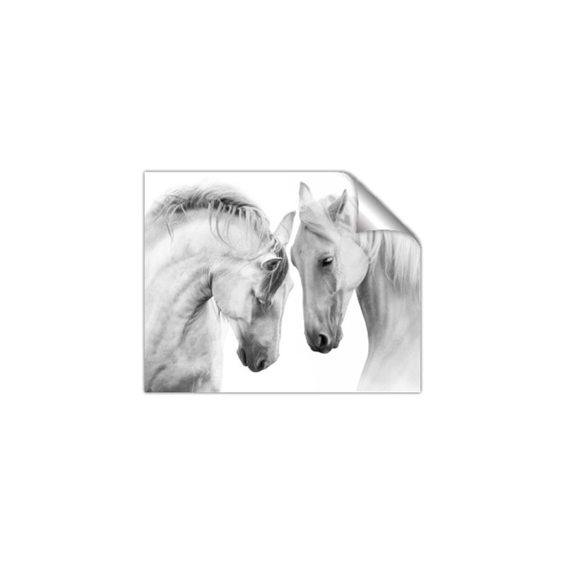 Picture of Face Off Horses _GroupedProduct_Rectangle_Landscape_Photography _GroupedProduct_Rectangle_Landscape_Unframed_Print_Only_