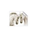 Picture of Face Off Horses _GroupedProduct_Rectangle_Landscape_Photography _GroupedProduct_Rectangle_Landscape_Unframed_Print_Only_