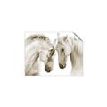Picture of Face Off Horses _GroupedProduct_Rectangle_Landscape_Photography _GroupedProduct_Rectangle_Landscape_Unframed_Print_Only_