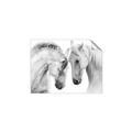 Picture of Face Off Horses _GroupedProduct_Rectangle_Landscape_Photography _GroupedProduct_Rectangle_Landscape_Unframed_Print_Only_