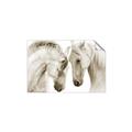 Picture of Face Off Horses _GroupedProduct_Rectangle_Landscape_Photography _GroupedProduct_Rectangle_Landscape_Unframed_Print_Only_
