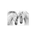 Picture of Face Off Horses _GroupedProduct_Rectangle_Landscape_Photography _GroupedProduct_Rectangle_Landscape_Unframed_Print_Only_