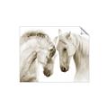Picture of Face Off Horses _GroupedProduct_Rectangle_Landscape_Photography _GroupedProduct_Rectangle_Landscape_Unframed_Print_Only_