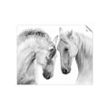 Picture of Face Off Horses _GroupedProduct_Rectangle_Landscape_Photography _GroupedProduct_Rectangle_Landscape_Unframed_Print_Only_