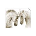 Picture of Face Off Horses _GroupedProduct_Rectangle_Landscape_Photography _GroupedProduct_Rectangle_Landscape_Unframed_Print_Only_
