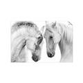 Picture of Face Off Horses _GroupedProduct_Rectangle_Landscape_Photography _GroupedProduct_Rectangle_Landscape_Unframed_Print_Only_