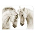 Picture of Face Off Horses _GroupedProduct_Rectangle_Landscape_Photography _GroupedProduct_Rectangle_Landscape_Unframed_Print_Only_